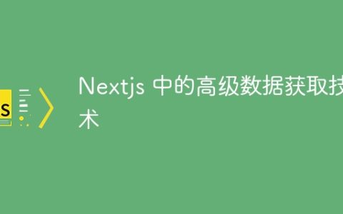 Nextjs 中的高级数据获取技术