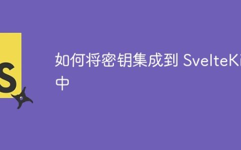 如何将密钥集成到 SvelteKit 中