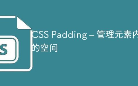 CSS Padding – 管理元素内部的空间