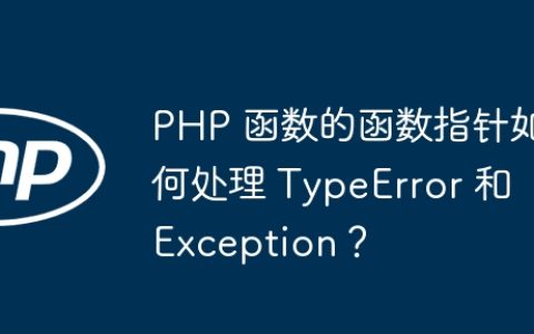 PHP 函数的函数指针如何处理 TypeError 和 Exception？