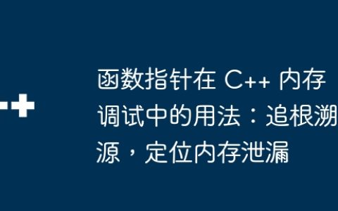 函数指针在 C++ 内存调试中的用法：追根溯源，定位内存泄漏