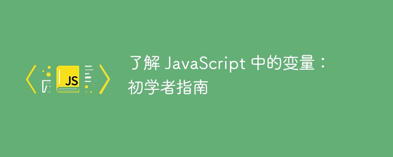 了解 javascript 中的变量:初学者指南
