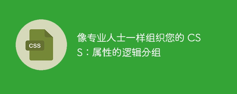像专业人士一样组织您的 css:属性的逻辑分组