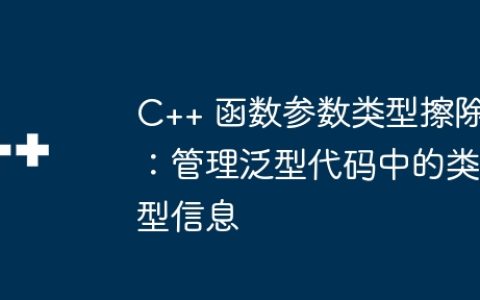 C++ 函数参数类型擦除：管理泛型代码中的类型信息