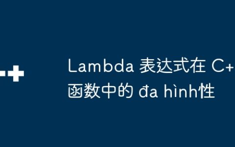 Lambda 表达式在 C++ 函数中的 đa hình性
