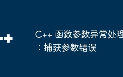 C++ 函数参数异常处理：捕获参数错误