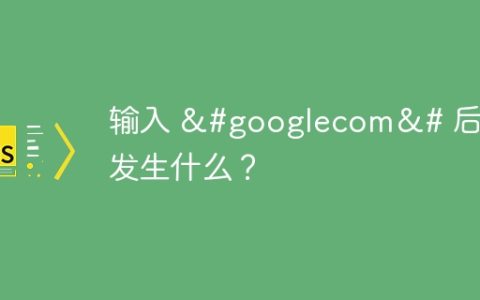 输入 &#googlecom&# 后会发生什么？
