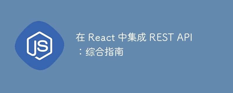 在 react 中集成 rest api:综合指南