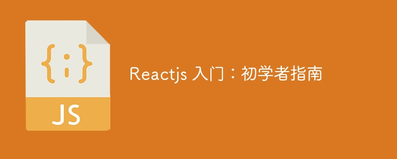 reactjs 入门:初学者指南
