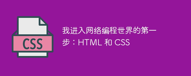 我进入网络编程世界的第一步:html 和 css