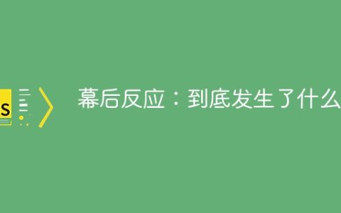 幕后反应：到底发生了什么？