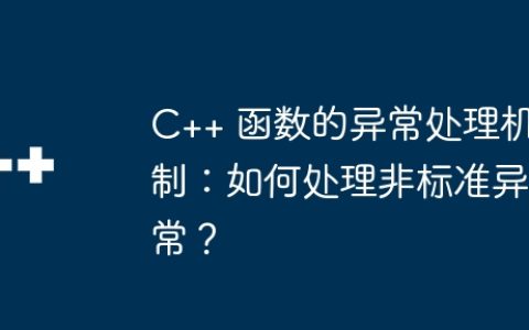 C++ 函数的异常处理机制：如何处理非标准异常？