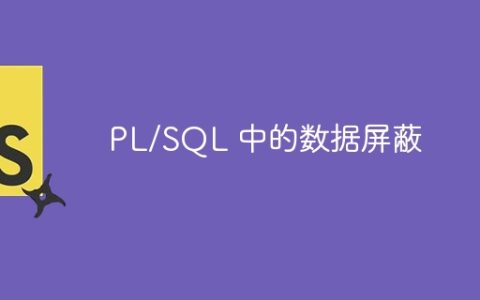 PL/SQL 中的数据屏蔽