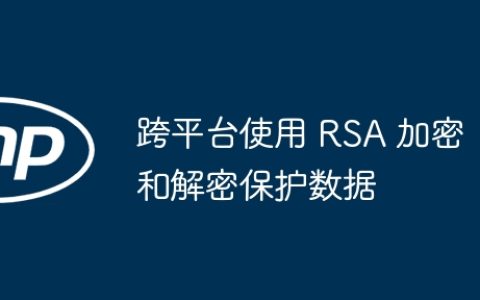 跨平台使用 RSA 加密和解密保护数据