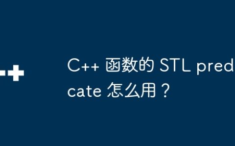 C++ 函数的 STL predicate 怎么用？