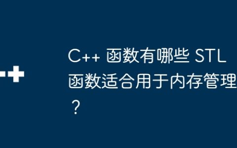 C++ 函数有哪些 STL 函数适合用于内存管理？