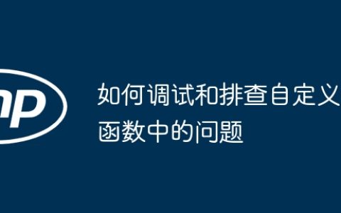 如何调试和排查自定义函数中的问题