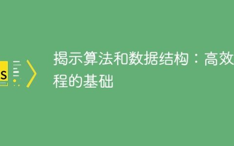 揭示算法和数据结构：高效编程的基础