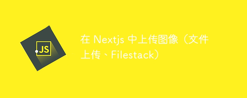 在 nextjs 中上传图像(文件上传、filestack)