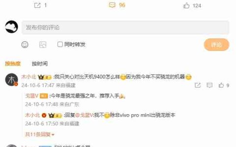iQOO 13 手机将采用位置更高的指纹方案，有望支持百瓦 PPS 快充