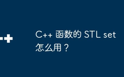 C++ 函数的 STL set 怎么用？