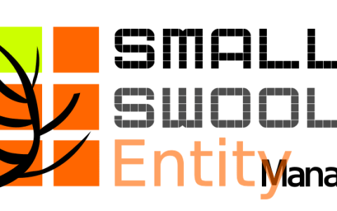 小型 Swoole 实体管理器