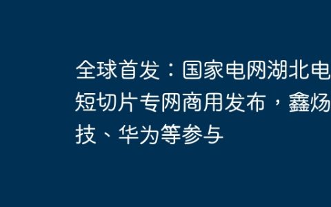 全球首发：国家电网湖北电力短切片专网商用发布，鑫炀科技、华为等参与