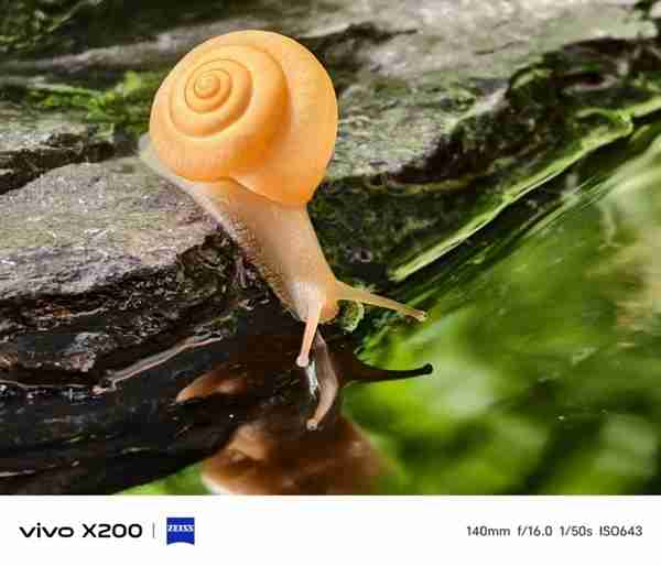 蔡司2亿APO超级长焦再升级!vivo X200影像能力公布:首创风光模式