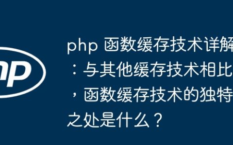php 函数缓存技术详解：与其他缓存技术相比，函数缓存技术的独特之处是什么？