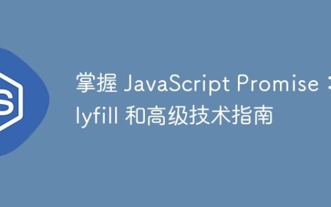 掌握 JavaScript Promise：Polyfill 和高级技术指南