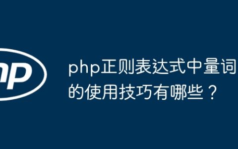 php正则表达式中量词的使用技巧有哪些？