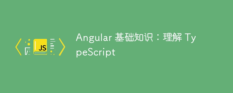 angular 基础知识:理解 typescript