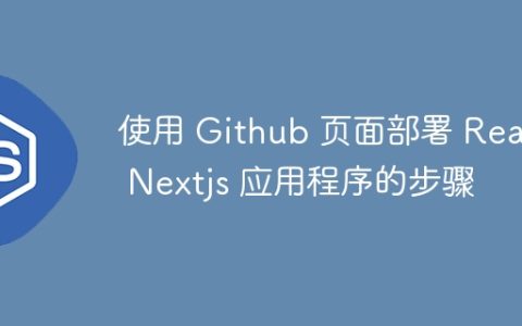 使用 Github 页面部署 React Nextjs 应用程序的步骤