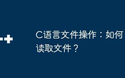 C语言文件操作：如何读取文件？
