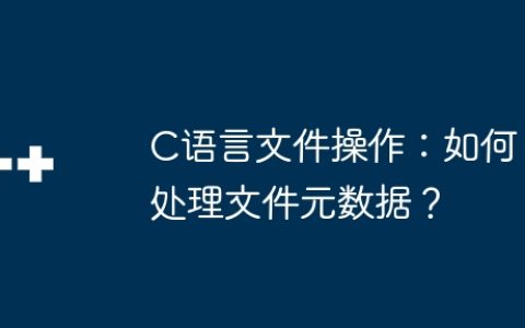 C语言文件操作：如何处理文件元数据？