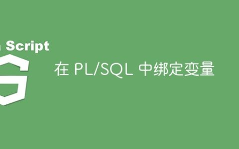 在 PL/SQL 中绑定变量