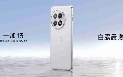 一加 13 手机配置参数曝光：等深四微弧直屏、提供 24GB+1TB 版本