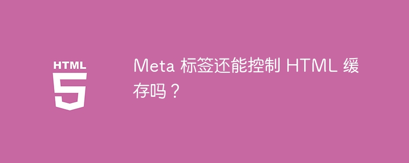 meta 标签还能控制 html 缓存吗?