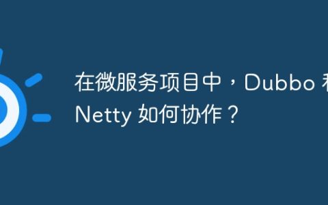 在微服务项目中，Dubbo 和 Netty 如何协作？