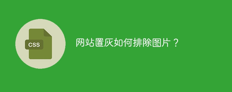 网站置灰如何排除图片?