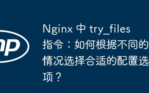 Nginx 中 try_files 指令：如何根据不同的情况选择合适的配置选项？
