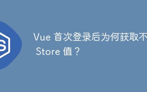 Vue 首次登录后为何获取不到 Store 值？