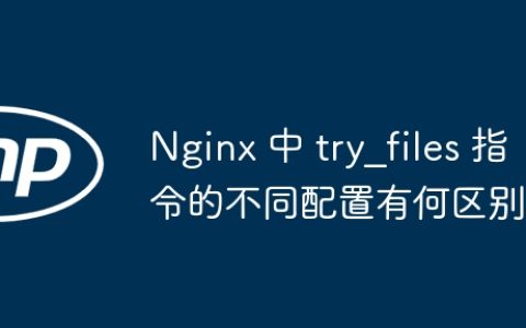 Nginx 中 try_files 指令的不同配置有何区别？