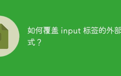 如何覆盖 input 标签的外部样式？