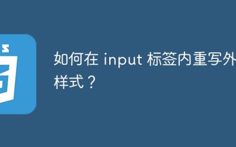 如何在 input 标签内重写外部样式？