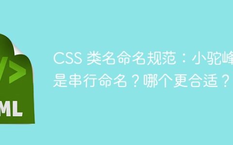 CSS 类名命名规范：小驼峰还是串行命名？哪个更合适？