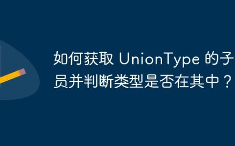 如何获取 UnionType 的子成员并判断类型是否在其中？
