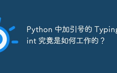 Python 中加引号的 Typing Hint 究竟是如何工作的？