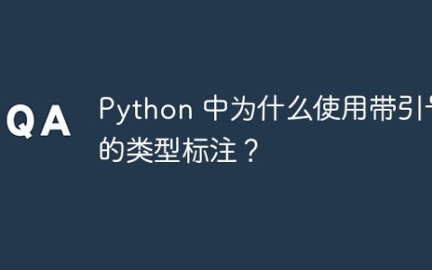 Python 中为什么使用带引号的类型标注？