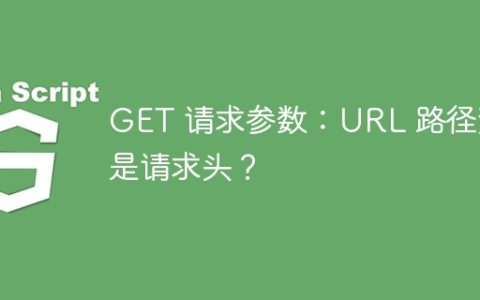 GET 请求参数：URL 路径还是请求头？